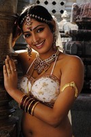 Actress Hot Navel Show Photos